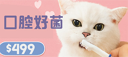 廣告圖