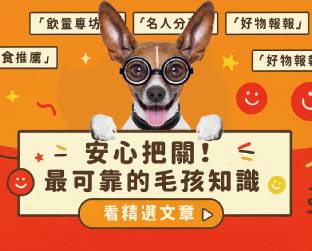 廣告圖