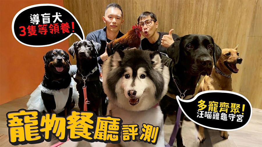 影音封面