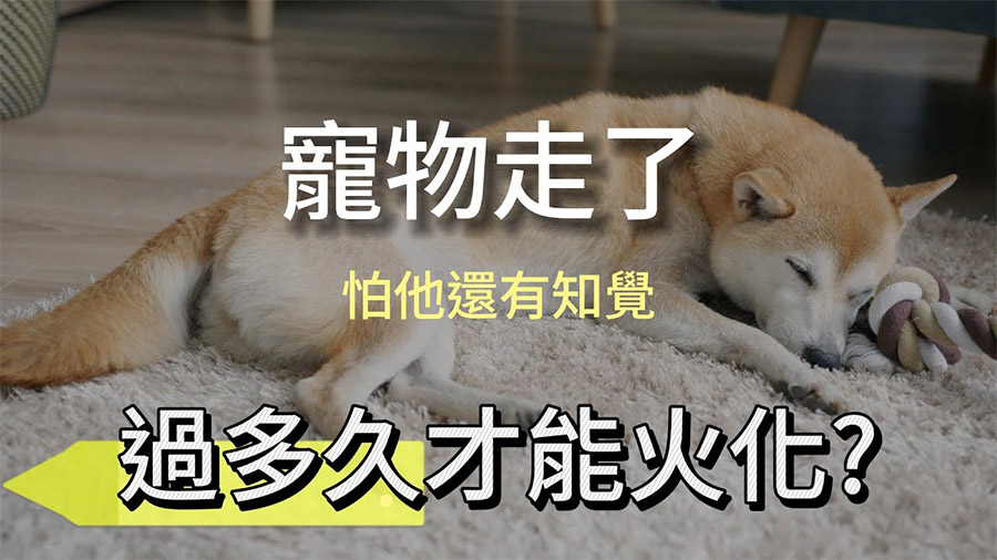 影音封面