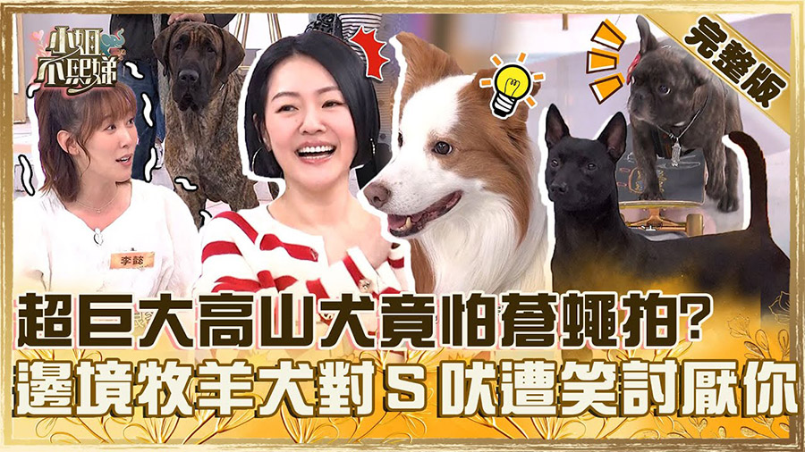 影音封面