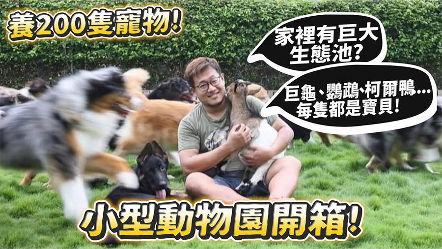 影音封面