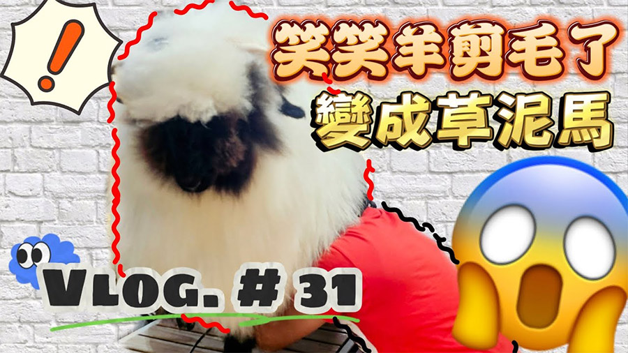 影音封面