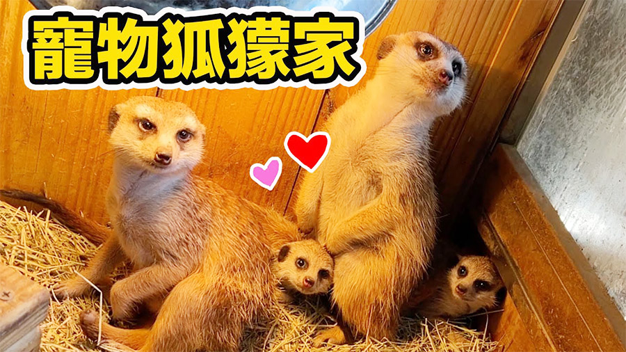 影音封面